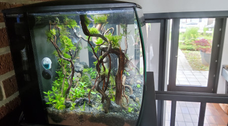 Myfirstone petit nettoyage