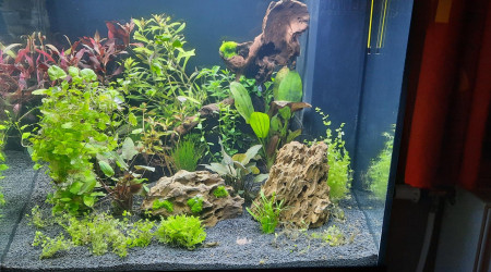 21/07/2021  2em jours