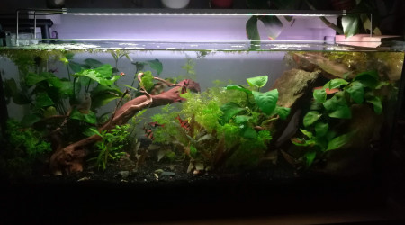 Retour de la lumière !