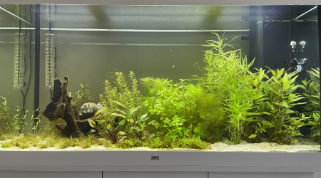 aquarium 300 L