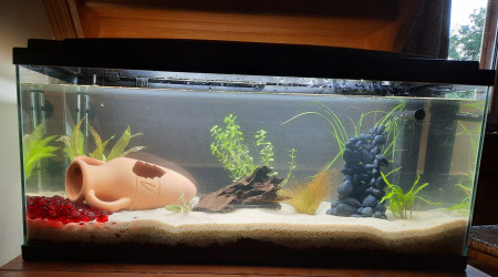 aquarium Aquarium 80L