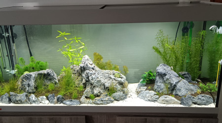 aquarium Aqua 240