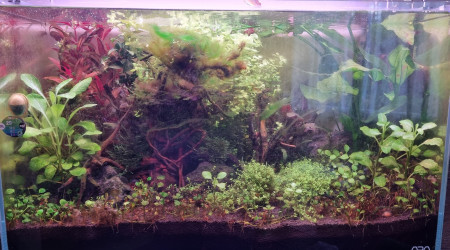 Retour de 15 jours de vacances