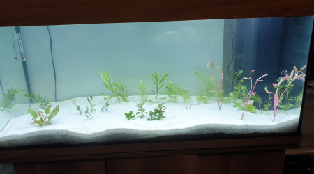 aquarium Juwel 180