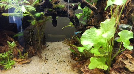 Les premiers arrivants :D