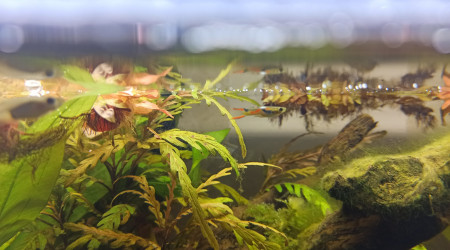 Les premiers arrivants :D