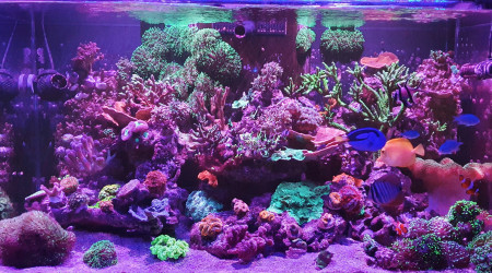 Photo de l'après-midi