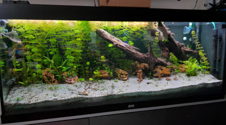 va falloir le ciseau