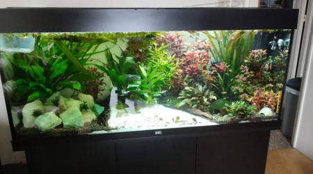 aquarium Juwel rio 240 black