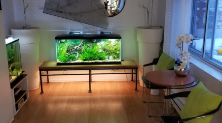 aquarium 210 litres No 1