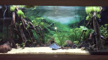 Pendant que ça pousse