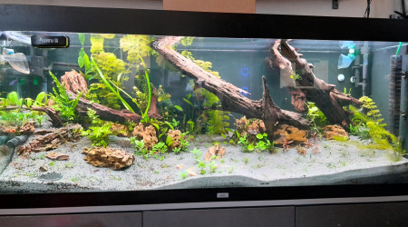 apres remaniment cote gauche et eau bien claire