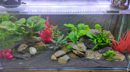 15 jours plus tard !