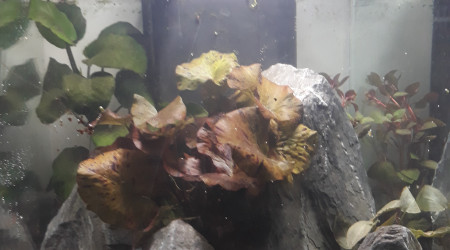 Nouveau décor : souvenir de vacances