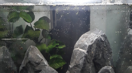 Nouveau décor : souvenir de vacances