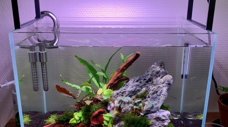 aquarium Nano20L