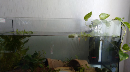 Ambiance sans éclairage ;(