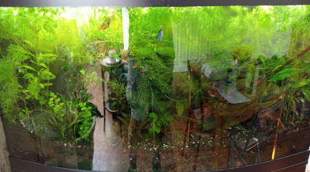 3 semaines d absence ;)