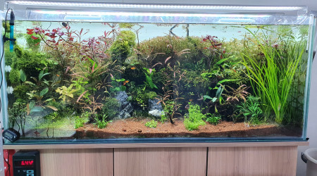 aquarium 300 litre