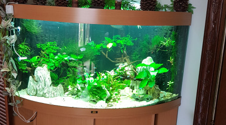 aquarium Juwel 350