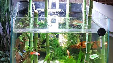 aquarium Nano ouvert 28 L