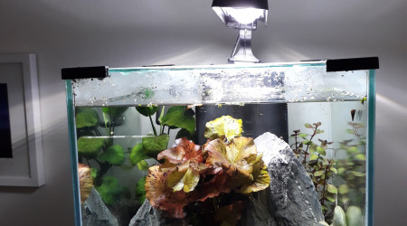 aquarium Le Loft de Maurice