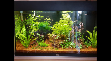 aquarium Juwel Rio 125