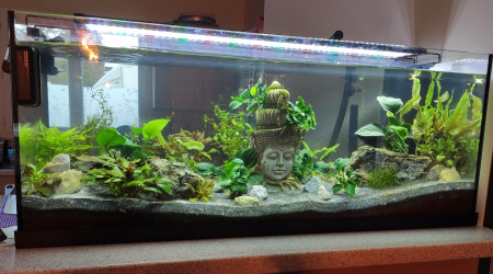 aquarium Juwel 160