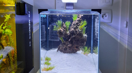 aquarium Nano Crevettes 20 l