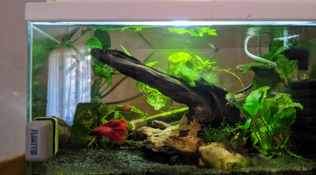 aquarium Bac betta 30l