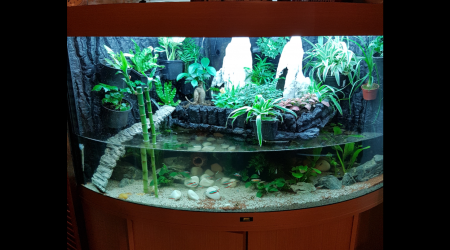 aquarium Juwel