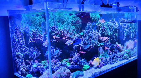 Nouveau rendu avec nouvelle rampe d'éclairage