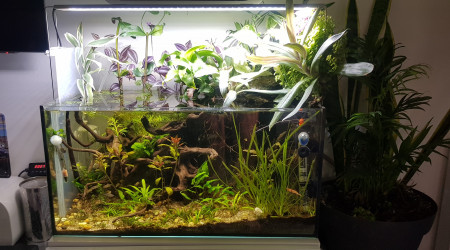 aquarium 50l droit