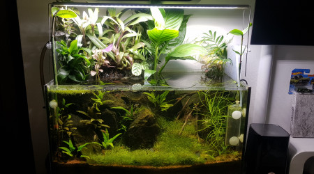 aquarium 50l gauche