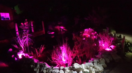 Lumières d'ambiance