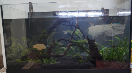 Nouvelle configuration