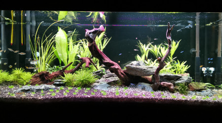 aquarium 180 L