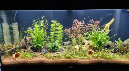 aquarium Aquarium 180L