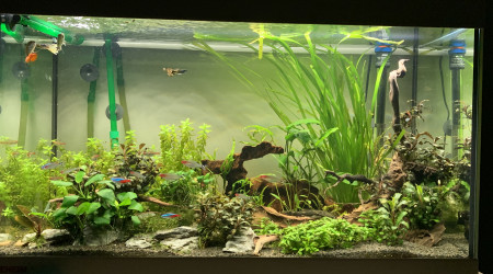 aquarium Aquarium 120l eheim