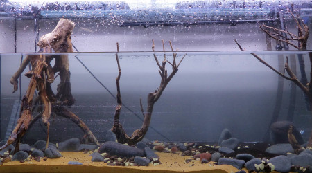 Mise en eeeeeaaaaauuuuu !!!