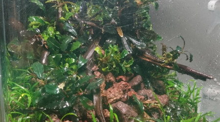 Welcome to the jungle