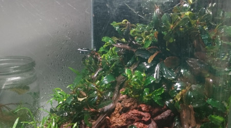 Welcome to the jungle