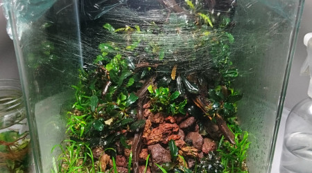 Welcome to the jungle