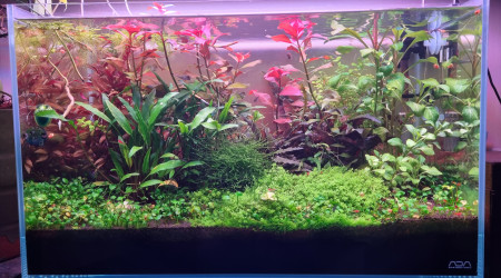 aquarium Aquarium salon 64l