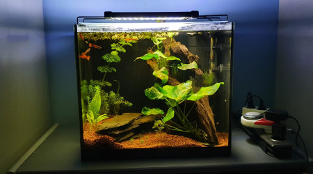 aquarium Aquarium recup custom