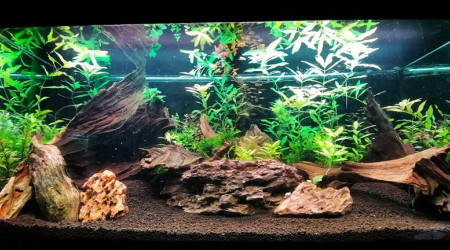 aquarium bac  180 litres