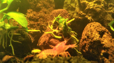 Touche pas à ma bouffe!