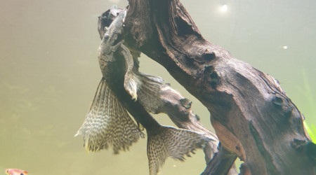 Toutes voiles dehors!