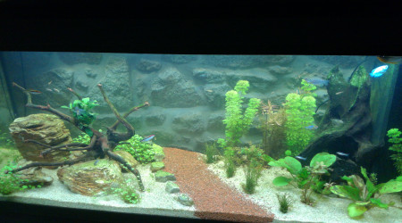 aquarium JUWEL 450
