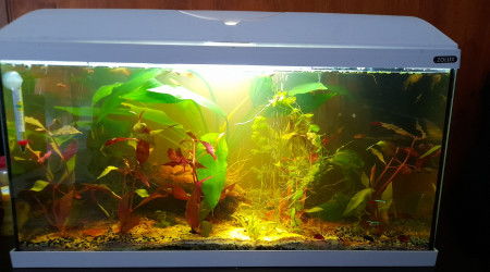 Après.  Photo du lundi 11 octobre 2021